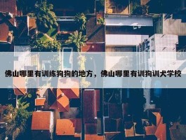 佛山哪里有训练狗狗的地方，佛山哪里有训狗训犬学校