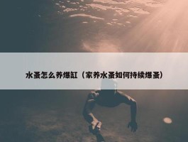 水蚤怎么养爆缸（家养水蚤如何持续爆蚤）