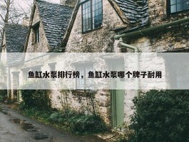 鱼缸水泵排行榜，鱼缸水泵哪个牌子耐用