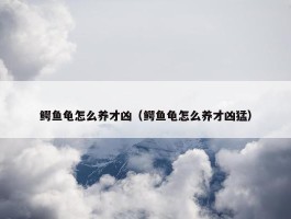 鳄鱼龟怎么养才凶（鳄鱼龟怎么养才凶猛）