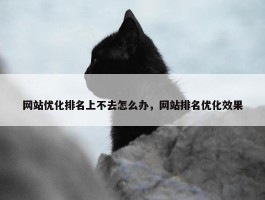 网站优化排名上不去怎么办，网站排名优化效果