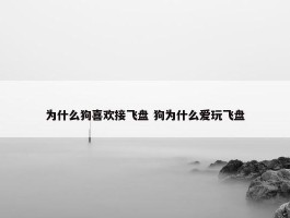 为什么狗喜欢接飞盘 狗为什么爱玩飞盘