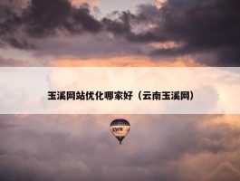 玉溪网站优化哪家好（云南玉溪网）