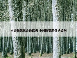 小绯胸鹦鹉会说话吗 小绯胸鹦鹉保护级别