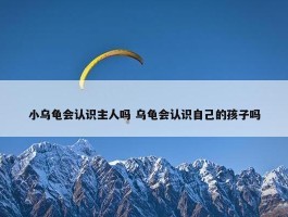 小乌龟会认识主人吗 乌龟会认识自己的孩子吗