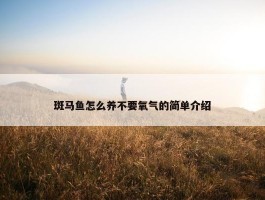 斑马鱼怎么养不要氧气的简单介绍