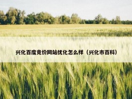 兴化百度竞价网站优化怎么样（兴化市百科）