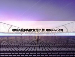 项城百度网站优化怎么样 项城seo公司