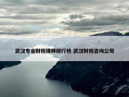 武汉专业财税律师排行榜 武汉财税咨询公司