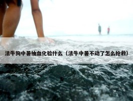 法牛狗中暑抽血化验什么（法牛中暑不动了怎么抢救）