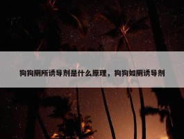 狗狗厕所诱导剂是什么原理，狗狗如厕诱导剂