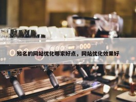 知名的网站优化哪家好点，网站优化效果好