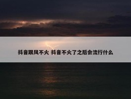 抖音跟风不火 抖音不火了之后会流行什么