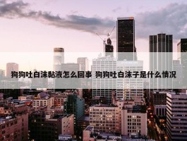 狗狗吐白沫黏液怎么回事 狗狗吐白沫子是什么情况