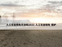 人工石金钱龟方法吗2021 人工石金钱龟 保护