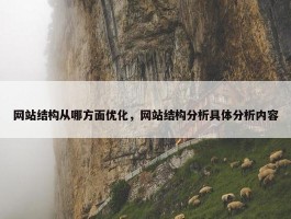 网站结构从哪方面优化，网站结构分析具体分析内容