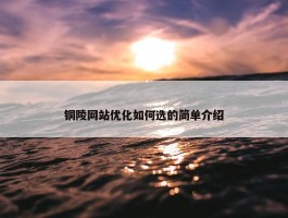 铜陵网站优化如何选的简单介绍