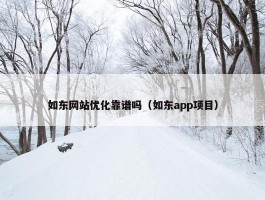 如东网站优化靠谱吗（如东app项目）