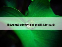 排名和网站优化哪个重要 网站排名优化方案