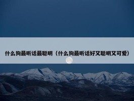 什么狗最听话最聪明（什么狗最听话好又聪明又可爱）