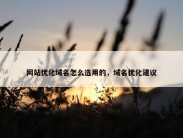 网站优化域名怎么选用的，域名优化建议