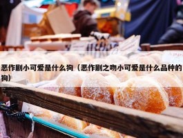 恶作剧小可爱是什么狗（恶作剧之吻小可爱是什么品种的狗）