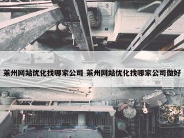 莱州网站优化找哪家公司 莱州网站优化找哪家公司做好