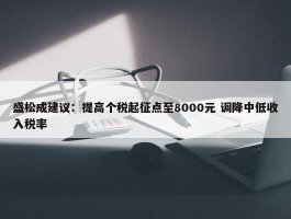 盛松成建议：提高个税起征点至8000元 调降中低收入税率