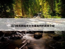 江门按天网站优化效果如何的简单介绍