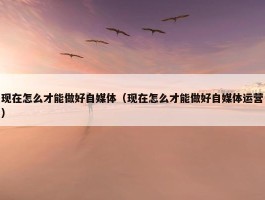 现在怎么才能做好自媒体（现在怎么才能做好自媒体运营）