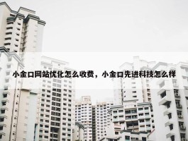 小金口网站优化怎么收费，小金口先进科技怎么样