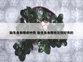 胎生鱼有哪些种类 胎生鱼有哪些比较好养的