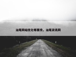 汕尾网站优化哪里找，汕尾资讯网