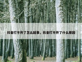 抖音打不开了怎么回事，抖音打不开了什么原因