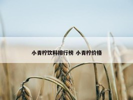 小青柠饮料排行榜 小青柠价格