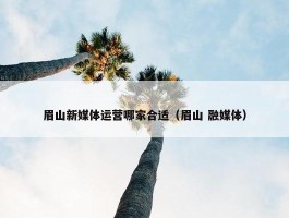 眉山新媒体运营哪家合适（眉山 融媒体）