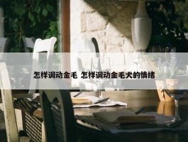 怎样调动金毛 怎样调动金毛犬的情绪