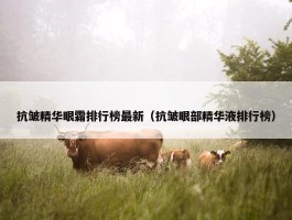 抗皱精华眼霜排行榜最新（抗皱眼部精华液排行榜）