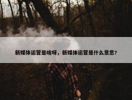 新媒体运营是啥呀，新媒体运营是什么意思?