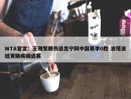 WTA官宣：王雅繁腰伤退出宁网中国赛季0胜 波塔波娃胃肠疾病退赛