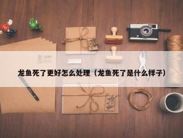 龙鱼死了更好怎么处理（龙鱼死了是什么样子）