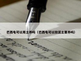 巴西龟可以用土养吗（巴西龟可以放泥土里养吗）