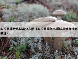 实况足球教练球员分布图（实况足球怎么看球员适合什么教练）