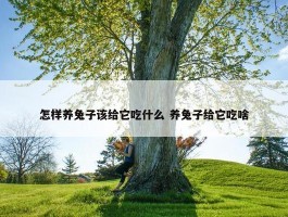 怎样养兔子该给它吃什么 养兔子给它吃啥