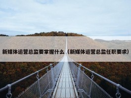 新媒体运营总监要掌握什么（新媒体运营总监任职要求）