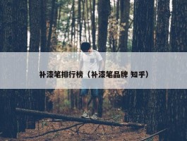 补漆笔排行榜（补漆笔品牌 知乎）