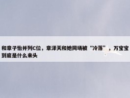 和章子怡并列C位，章泽天和她同场被“冷落”，万宝宝到底是什么来头