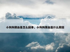 小狗狗便血是怎么回事，小狗狗便血是什么原因