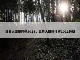 世界大国排行榜2021，世界大国排行榜2021最新