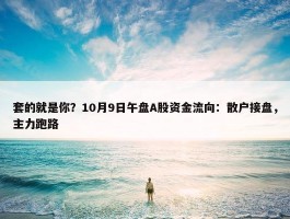 套的就是你？10月9日午盘A股资金流向：散户接盘，主力跑路